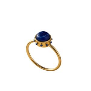 Anillo 2 Blue pigmea